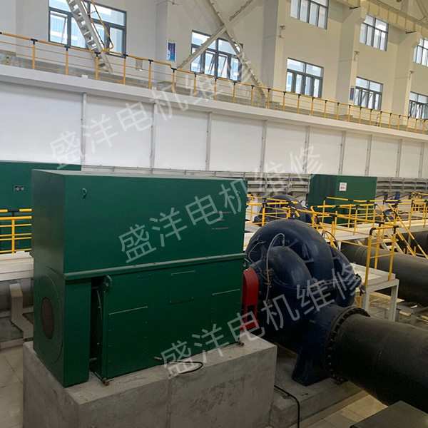 安徽大型电机修理公司