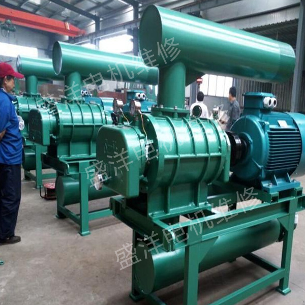 安徽专业风机维修厂家 